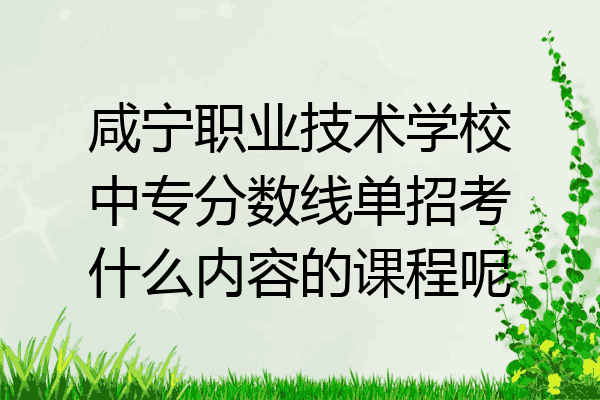 咸宁职业技术学校中专分数线单招考什么内容的课程呢
