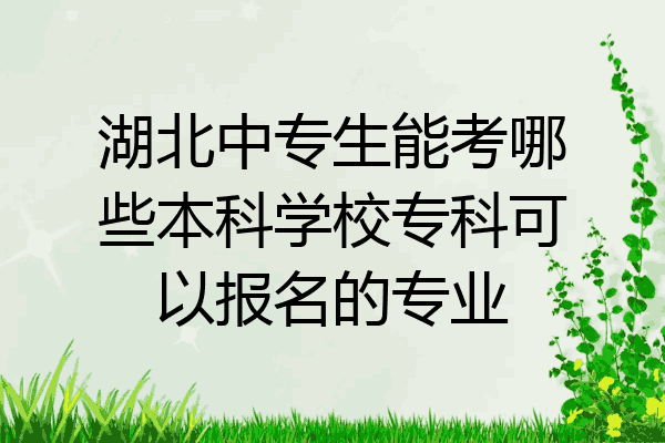 湖北中专生能考哪些本科学校专科可以报名的专业