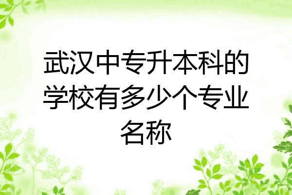 武汉中专升本科的学校有多少个专业名称