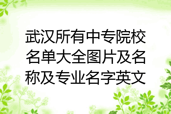 武汉所有中专院校名单大全图片及名称及专业名字英文