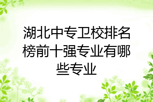 湖北中专卫校排名榜前十强专业有哪些专业