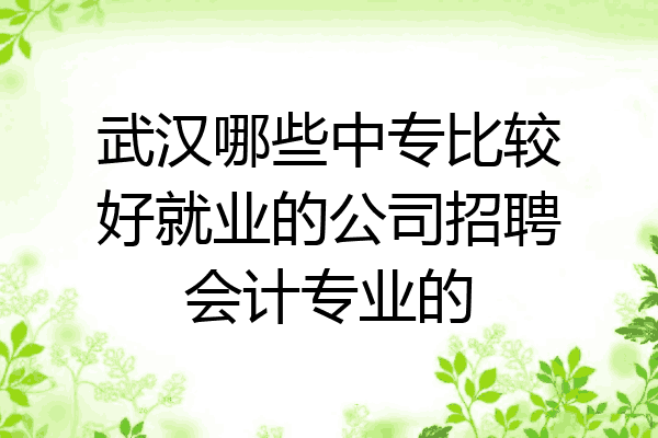 武汉哪些中专比较好就业的公司招聘会计专业的