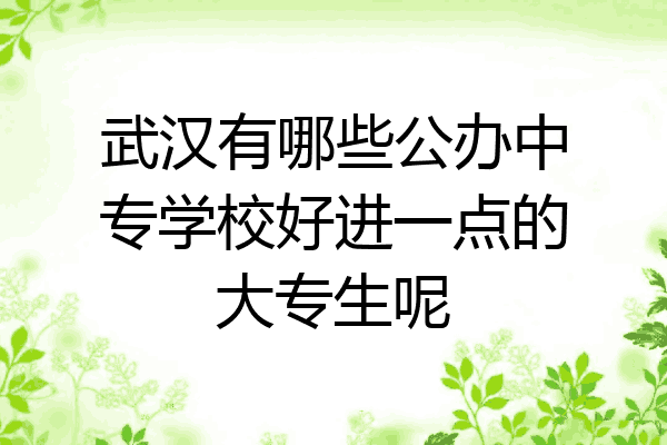 武汉有哪些公办中专学校好进一点的大专生呢