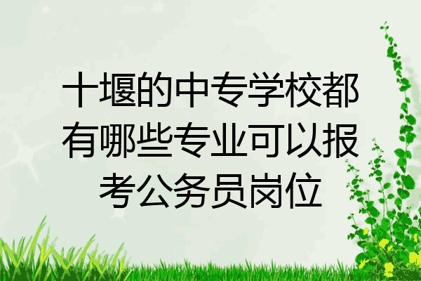 十堰的中专学校都有哪些专业可以报考公务员岗位
