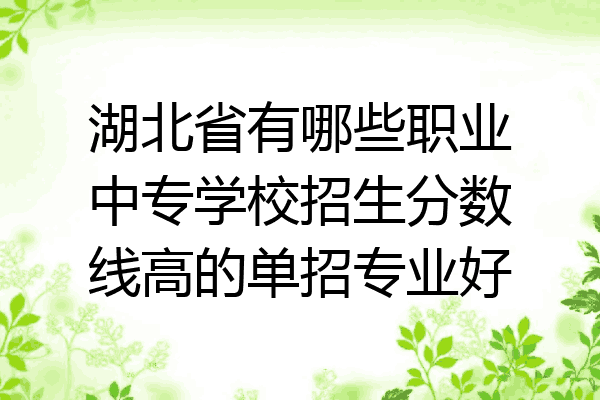 湖北省有哪些职业中专学校招生分数线高的单招专业好