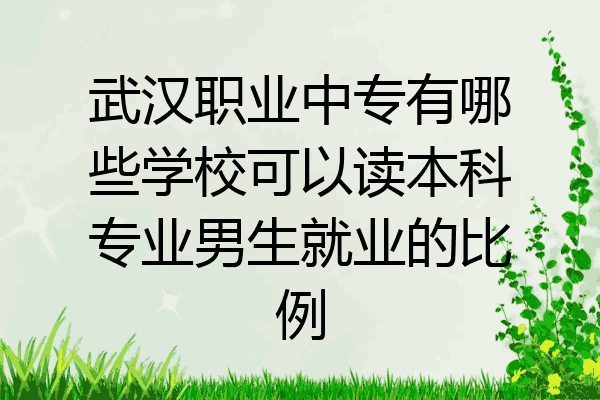 武汉职业中专有哪些学校可以读本科专业男生就业的比例