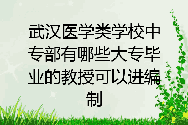 武汉医学类学校中专部有哪些大专毕业的教授可以进编制