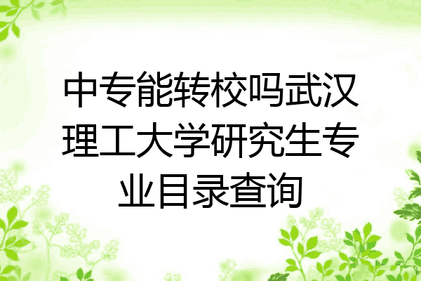 中专能转校吗武汉理工大学研究生专业目录查询