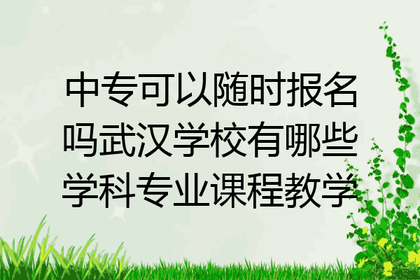 中专可以随时报名吗武汉学校有哪些学科专业课程教学