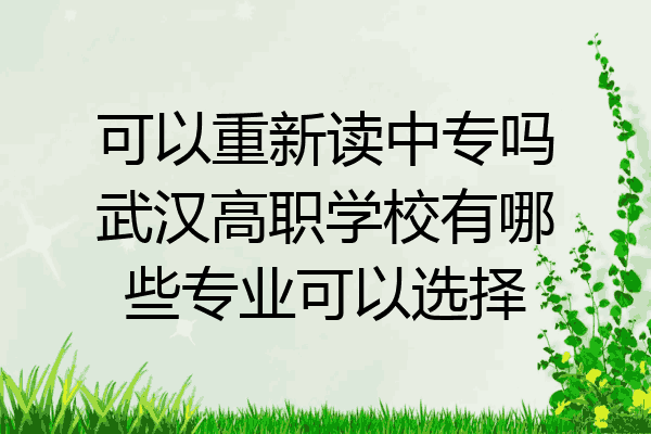 可以重新读中专吗武汉高职学校有哪些专业可以选择