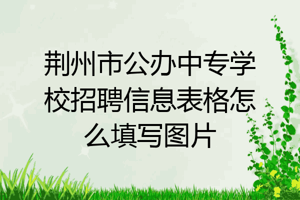 荆州市公办中专学校招聘信息表格怎么填写图片
