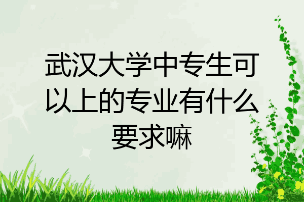 武汉大学中专生可以上的专业有什么要求嘛