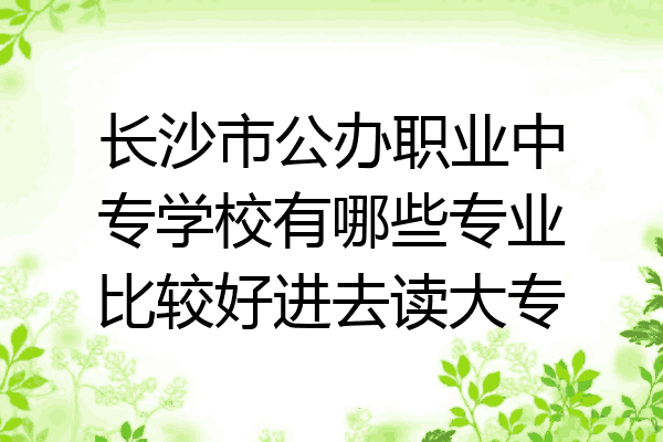 长沙市公办职业中专学校有哪些专业比较好进去读大专