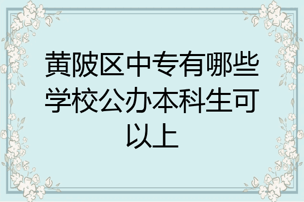 黄陂区中专有哪些学校公办本科生可以上