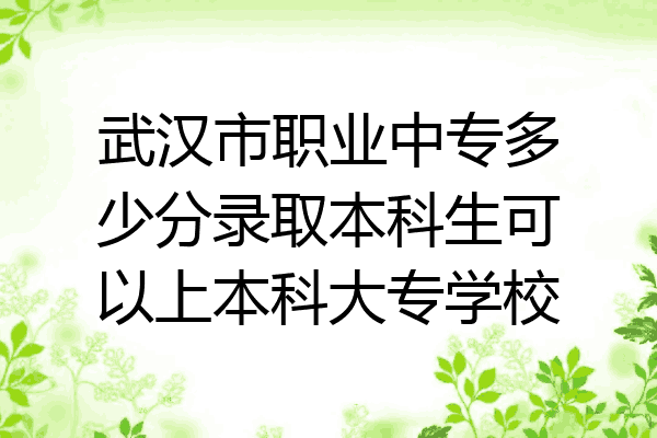 武汉市职业中专多少分录取本科生可以上本科大专学校