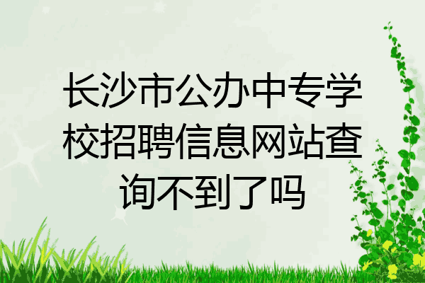 长沙市公办中专学校招聘信息网站查询不到了吗
