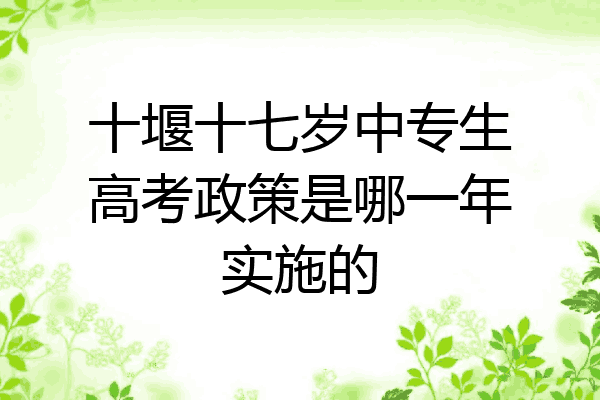 十堰十七岁中专生高考政策是哪一年实施的