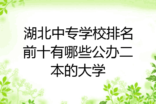 湖北中专学校排名前十有哪些公办二本的大学