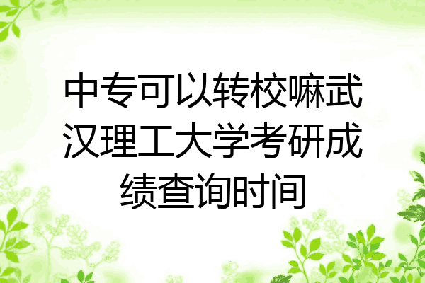 中专可以转校嘛武汉理工大学考研成绩查询时间