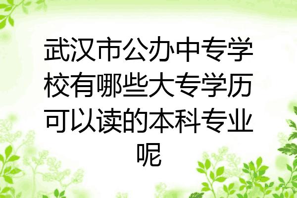 武汉市公办中专学校有哪些大专学历可以读的本科专业呢