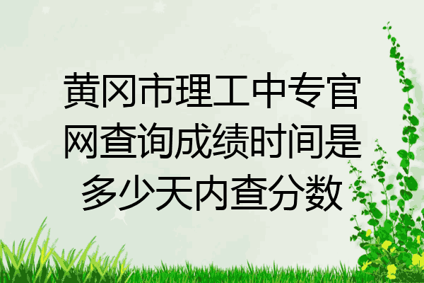 黄冈市理工中专官网查询成绩时间是多少天内查分数