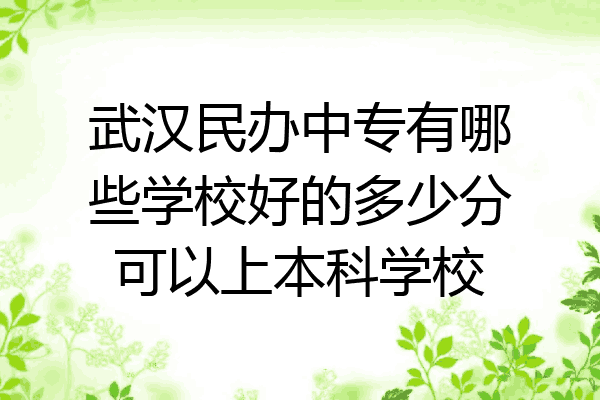 武汉民办中专有哪些学校好的多少分可以上本科学校