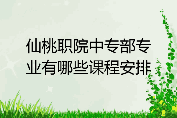 仙桃职院中专部专业有哪些课程安排