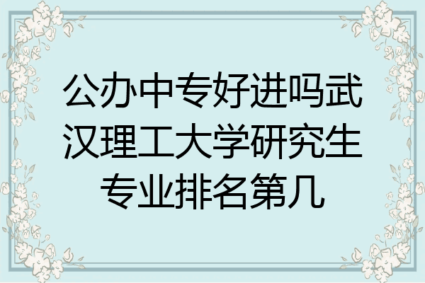 公办中专好进吗武汉理工大学研究生专业排名第几