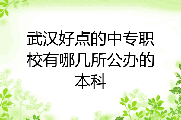 武汉好点的中专职校有哪几所公办的本科