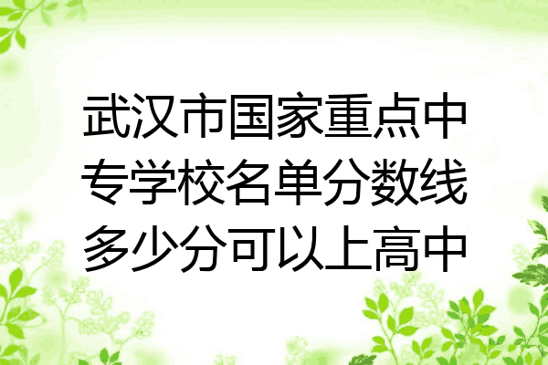 武汉市国家重点中专学校名单分数线多少分可以上高中