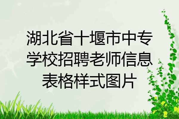 湖北省十堰市中专学校招聘老师信息表格样式图片