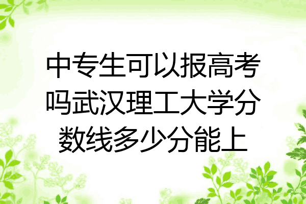 中专生可以报高考吗武汉理工大学分数线多少分能上