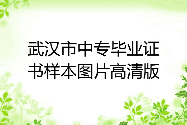 武汉市中专毕业证书样本图片高清版