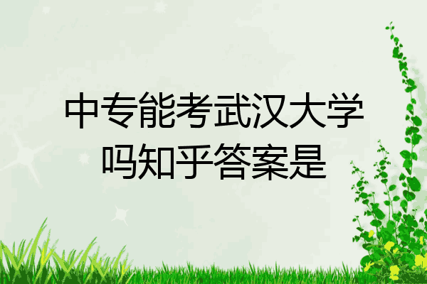 中专能考武汉大学吗知乎答案是