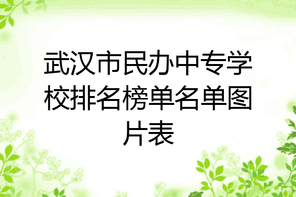武汉市民办中专学校排名榜单名单图片表