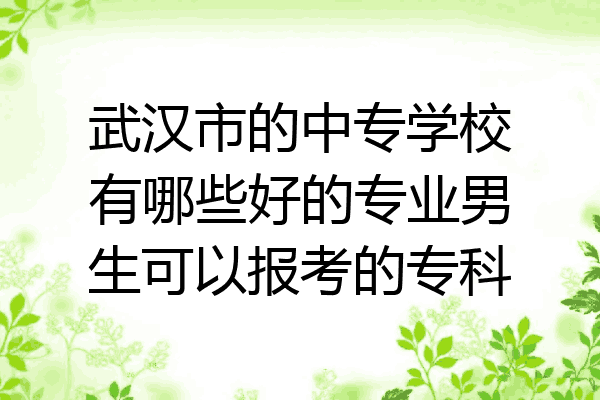武汉市的中专学校有哪些好的专业男生可以报考的专科