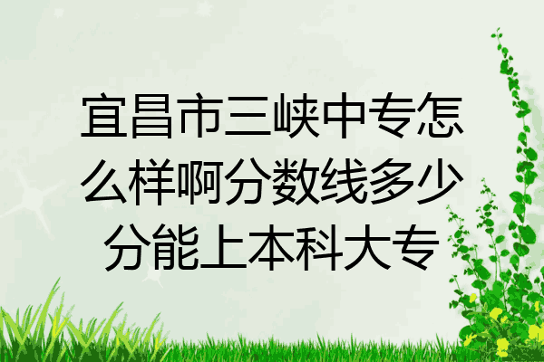 宜昌市三峡中专怎么样啊分数线多少分能上本科大专
