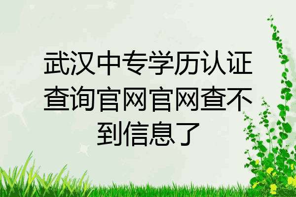 武汉中专学历认证查询官网官网查不到信息了