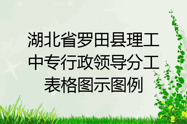 湖北省罗田县理工中专行政领导分工表格图示图例