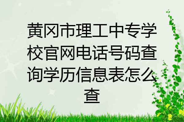 黄冈市理工中专学校官网电话号码查询学历信息表怎么查