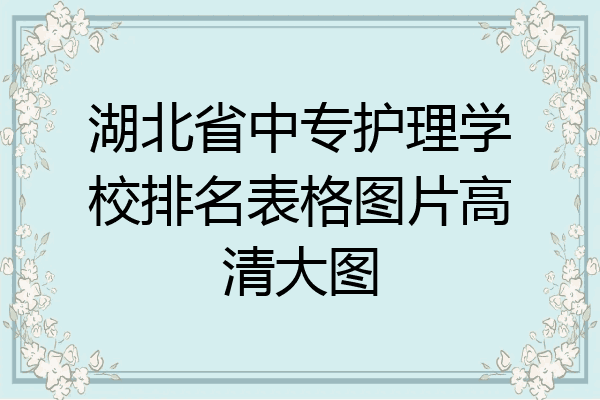 湖北省中专护理学校排名表格图片高清大图