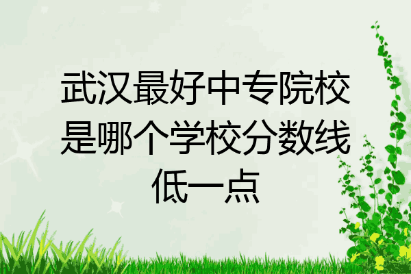武汉最好中专院校是哪个学校分数线低一点