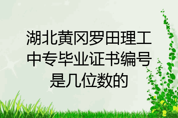 湖北黄冈罗田理工中专毕业证书编号是几位数的