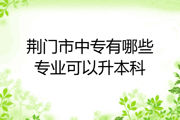 荆门市中专有哪些专业可以升本科