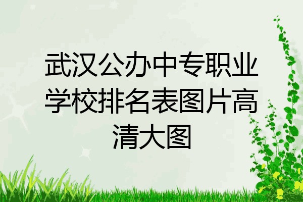 武汉公办中专职业学校排名表图片高清大图