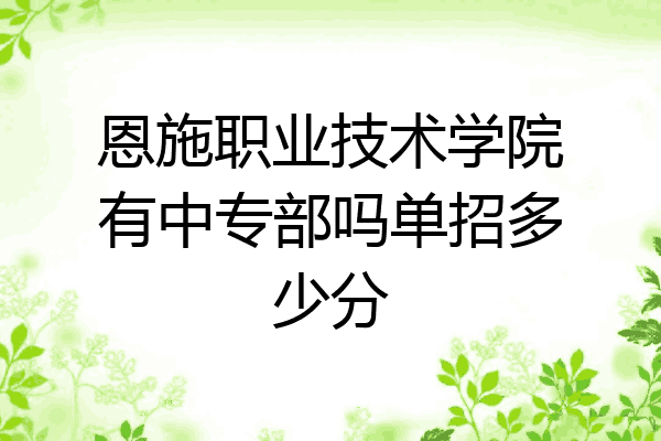 恩施职业技术学院有中专部吗单招多少分