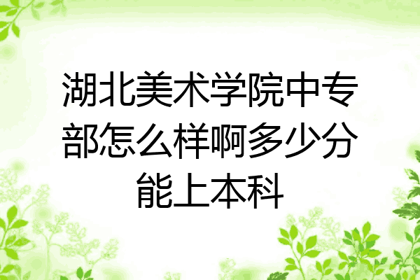 湖北美术学院中专部怎么样啊多少分能上本科