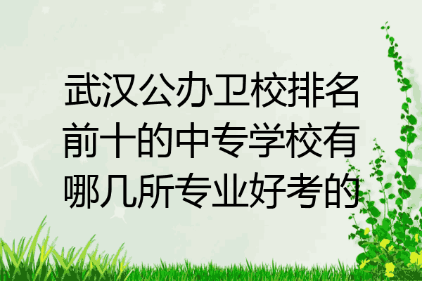 武汉公办卫校排名前十的中专学校有哪几所专业好考的