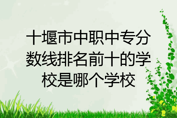 十堰市中职中专分数线排名前十的学校是哪个学校