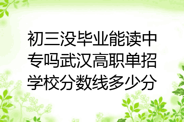初三没毕业能读中专吗武汉高职单招学校分数线多少分